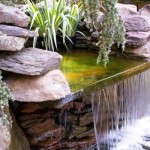 WATER FEATURE